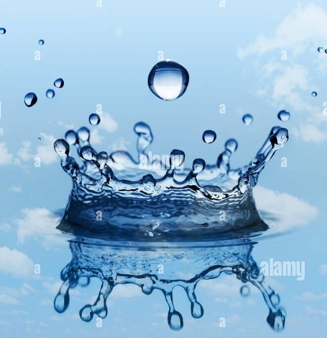 Gota - copia